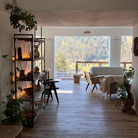 Shard Boutique Hotel-Adult Only Брашов Екстериор снимка