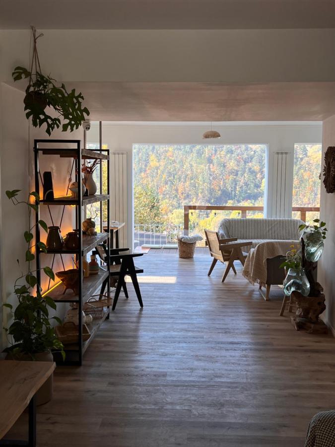 Shard Boutique Hotel-Adult Only Брашов Екстериор снимка